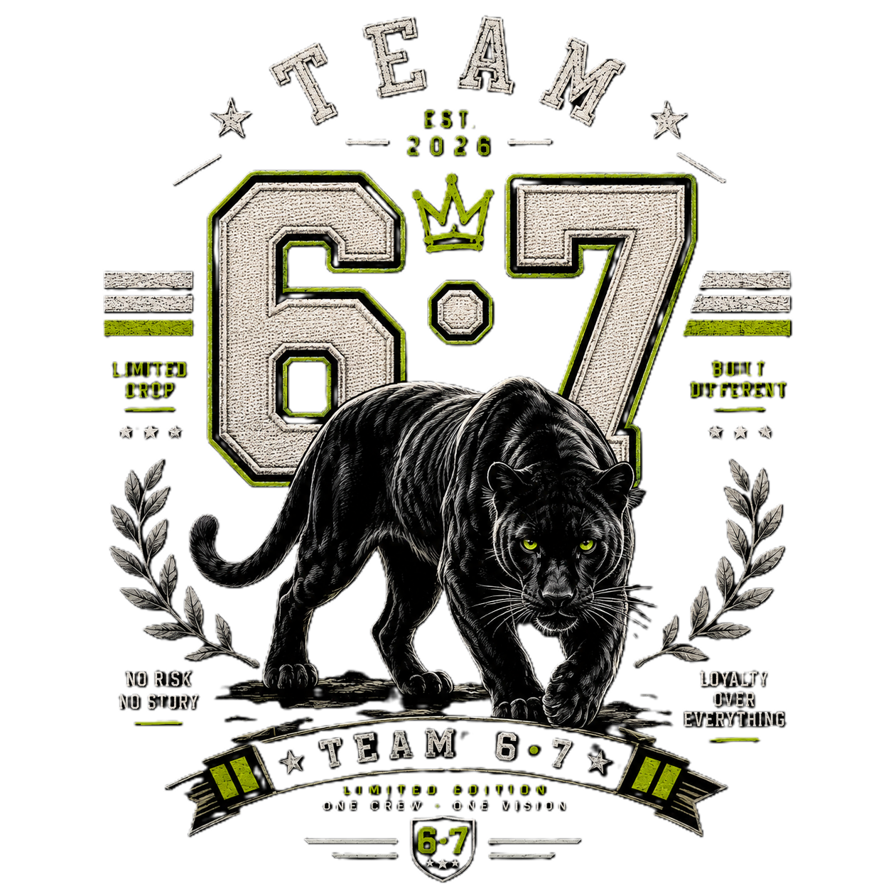 Diseño Pantera Team 6·7